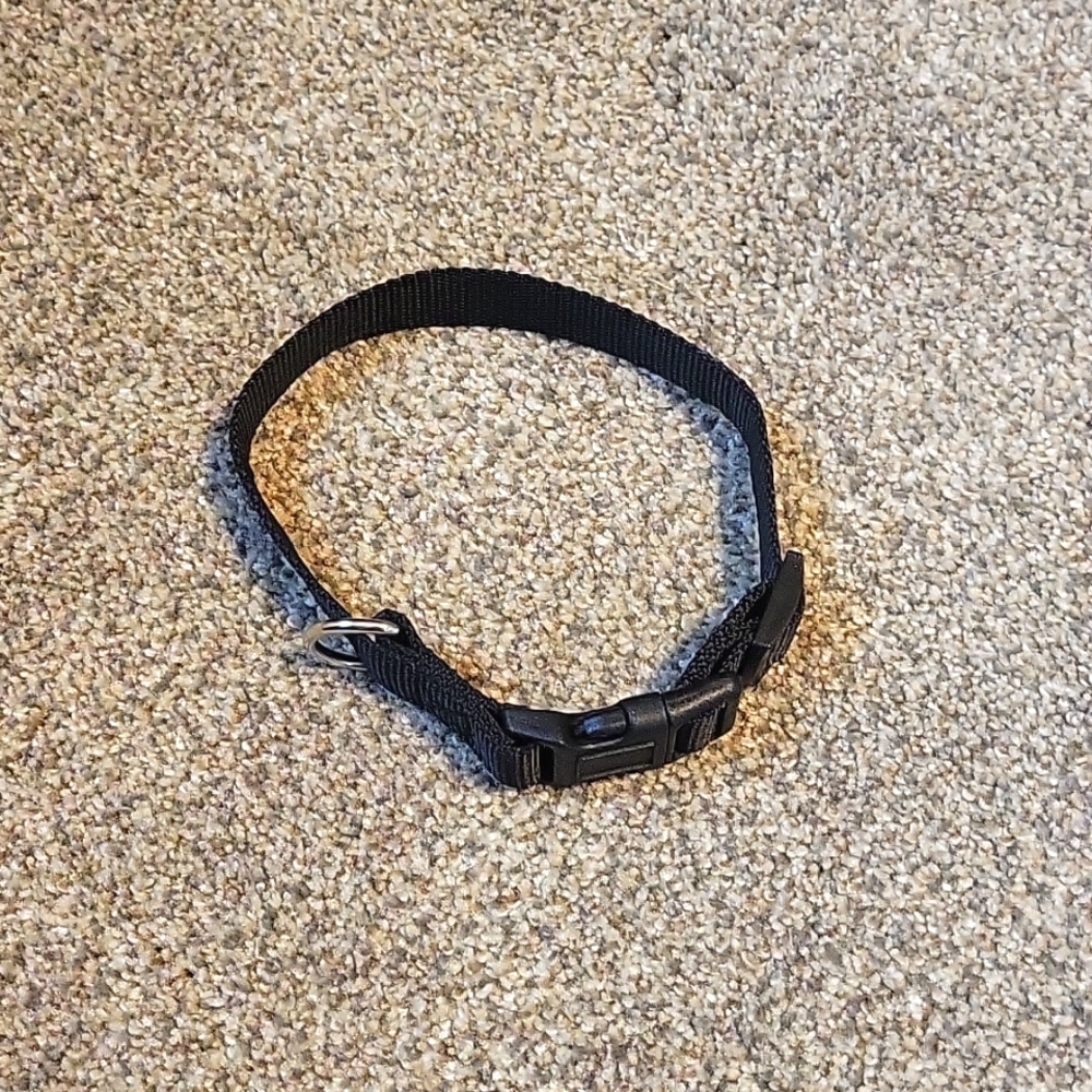 Black Dog Collar- Medium